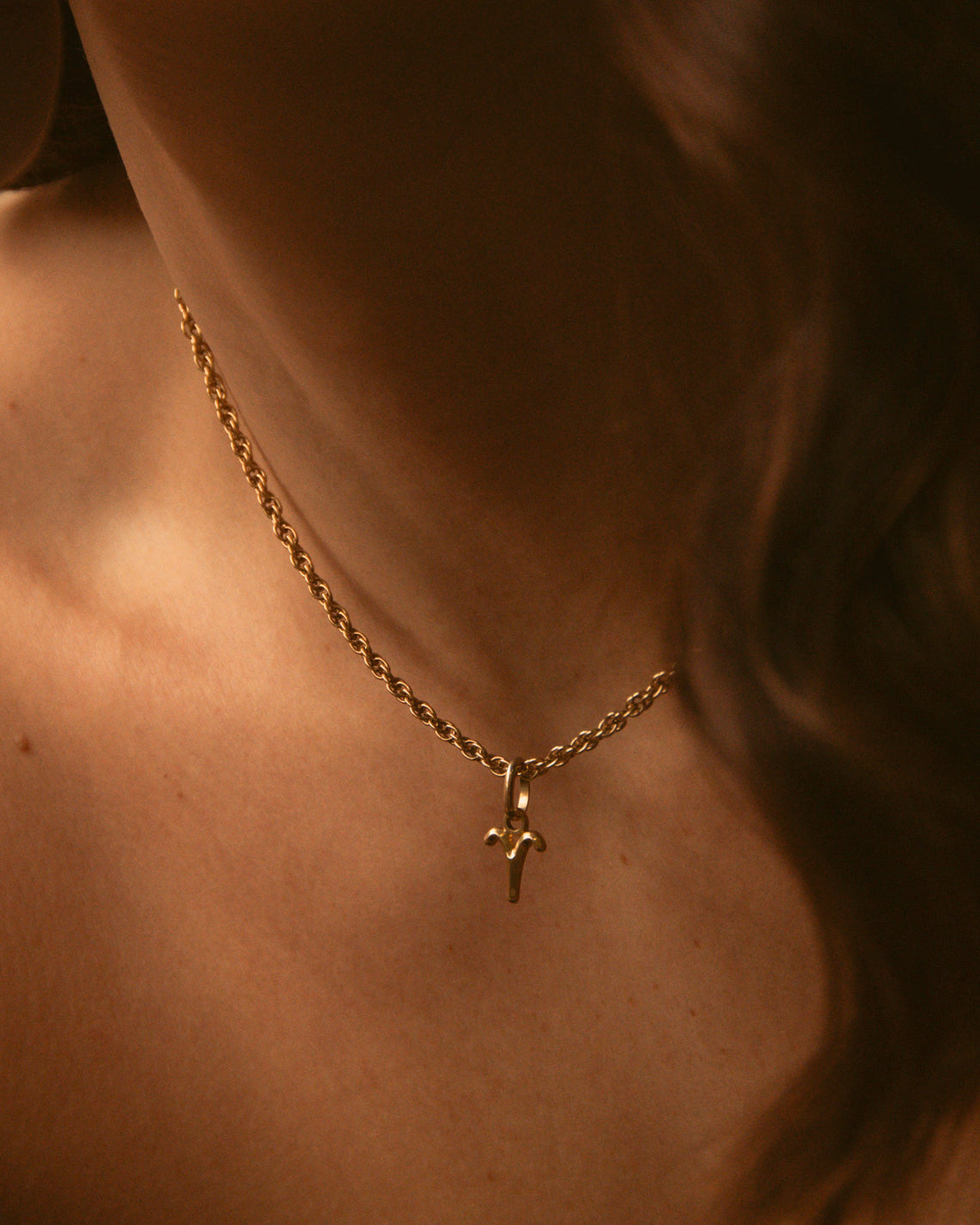 Astro Widder Anhänger