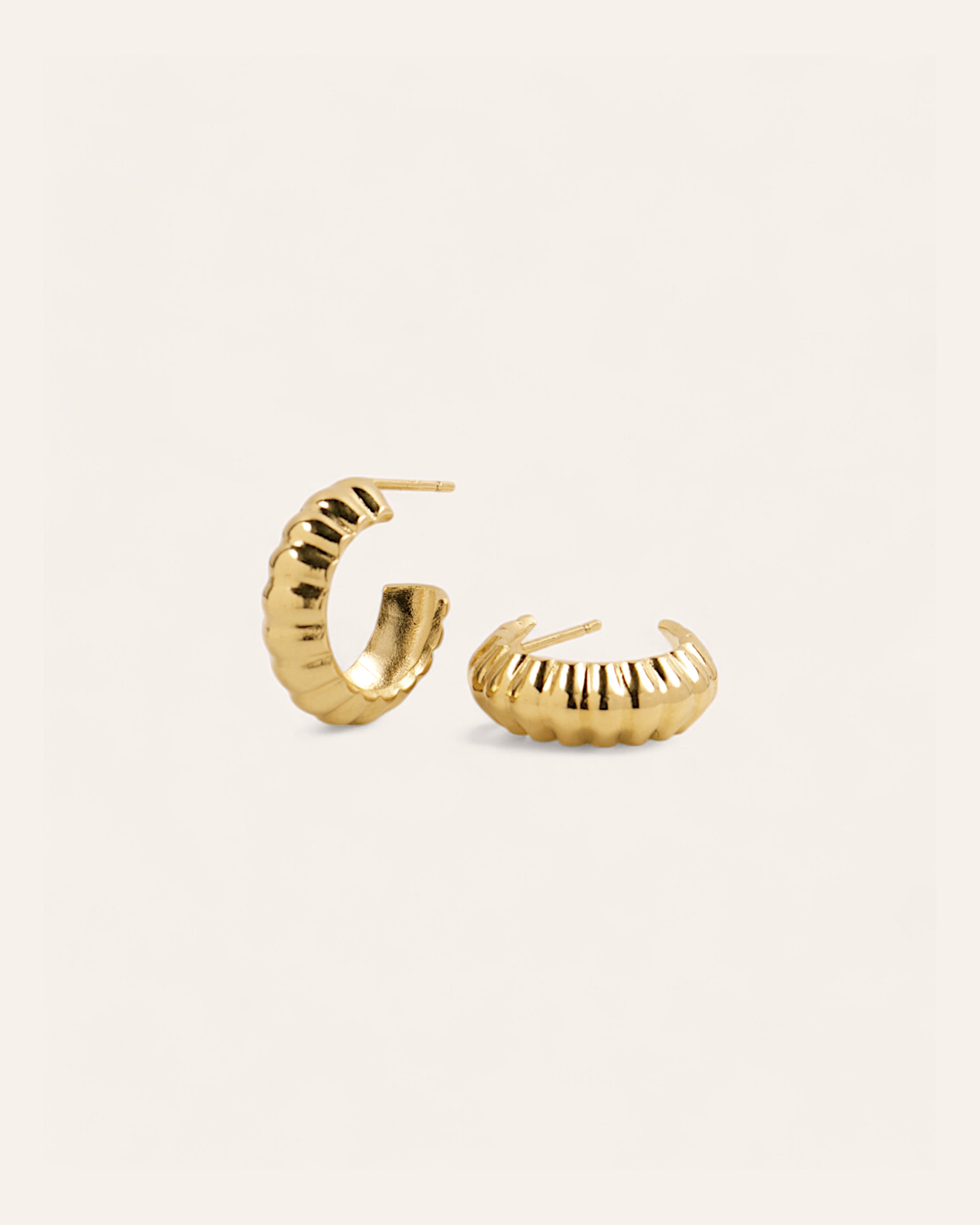 Kendall Large Hoop Earrings 24k Gold Plated