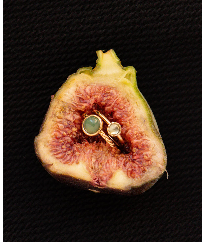 Aglaia Co featured image