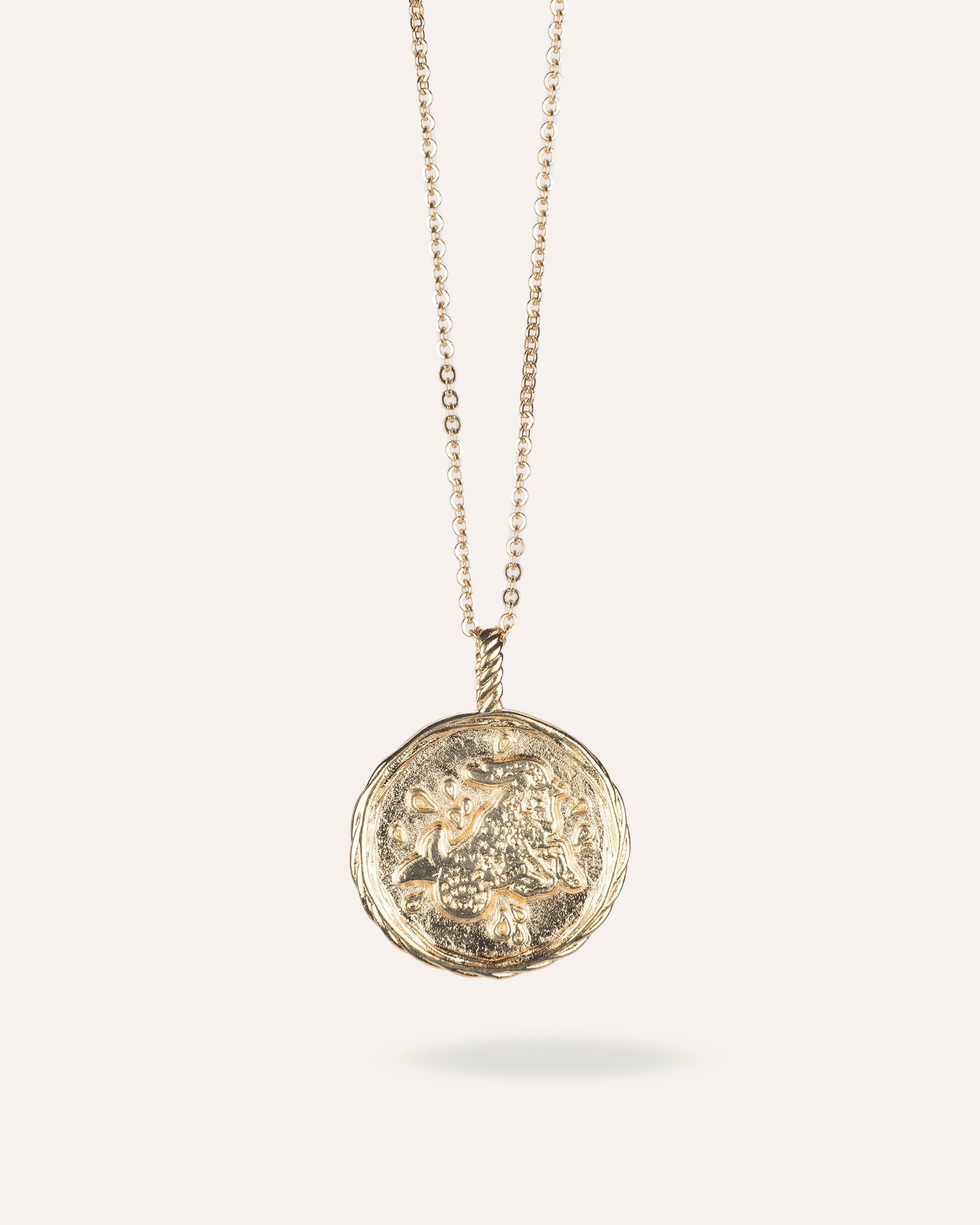 Collier Astro Capricorne Plaqué Or 18ct